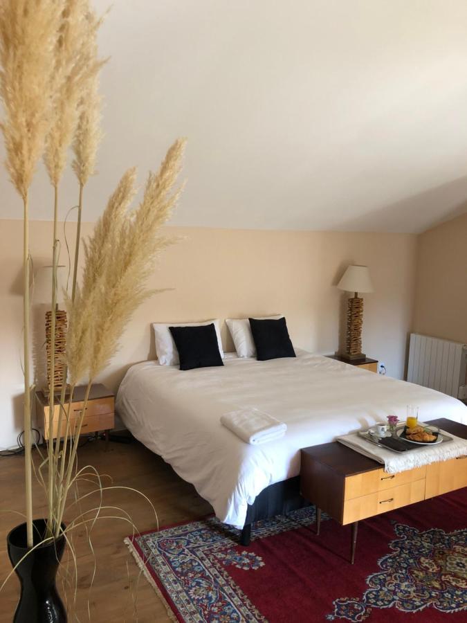 La Belle Epoque - Chambres D'Hotes & Spa Damvix 외부 사진
